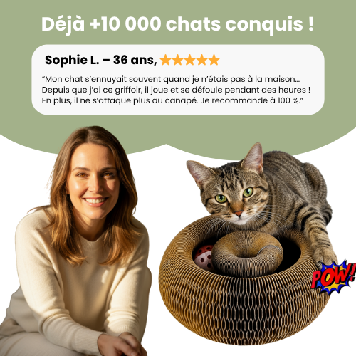 Griffoir interactif pour chats