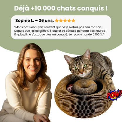 Griffoir interactif pour chats